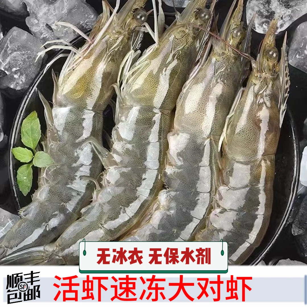 【无冰衣大虾顺丰】新鲜对虾气动大虾大青虾基围虾无保水剂产地直发