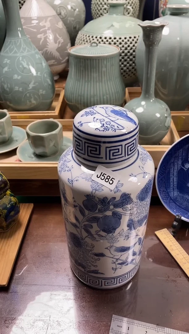 星**云安佳佳直播间j585