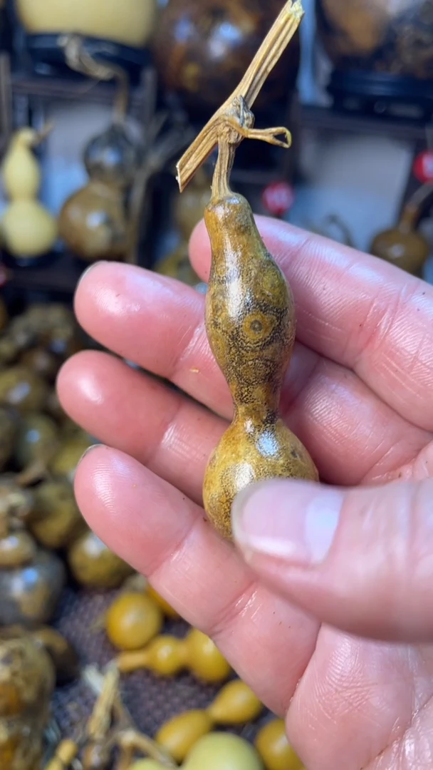 【闪购商品】葫芦葫芦葫芦葫芦葫芦