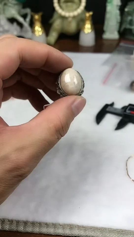 银S925镶嵌硅化珊瑚（珊瑚玉）戒指戒指