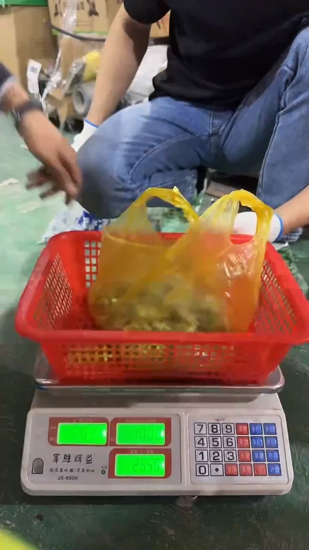 看清下单不退不换187