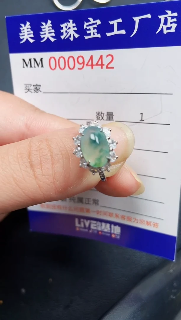 翡翠银S925镶嵌颈饰9442