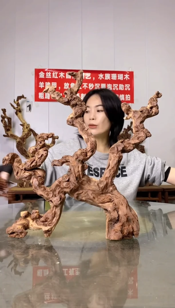 【闪购商品】木38金丝红木 羊蹄甲