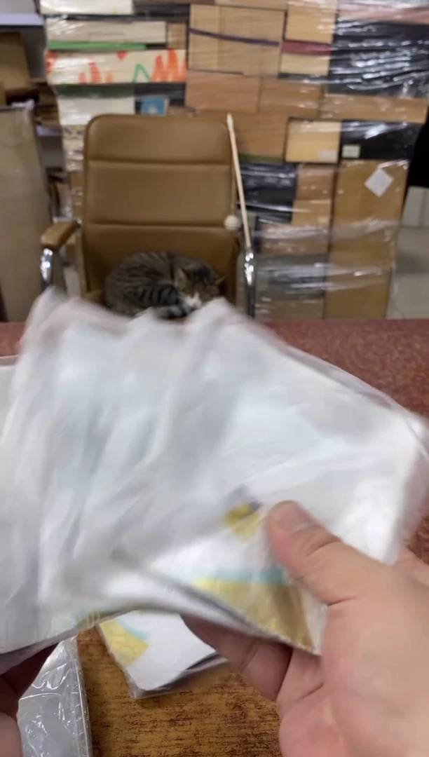 瓷片565小林轩欢迎您