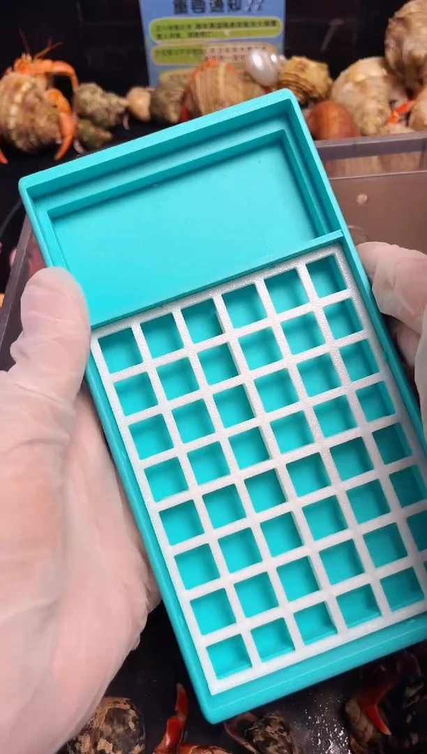 陌派帝国寄居蟹355