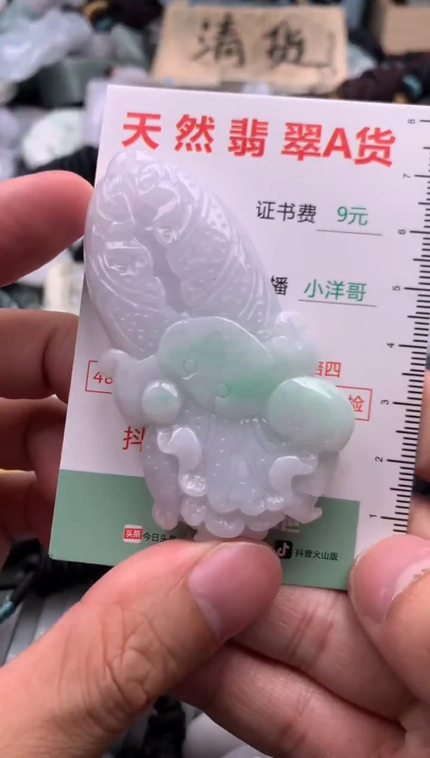 翡翠未镶嵌吊坠(不含链)1