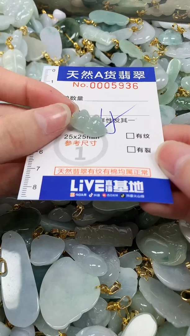 颈饰未镶嵌翡翠纯天然a货翡翠