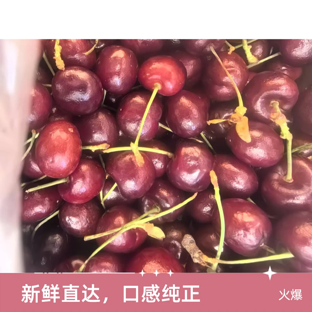 悦果先生单J车厘子（3斤）个别机械伤