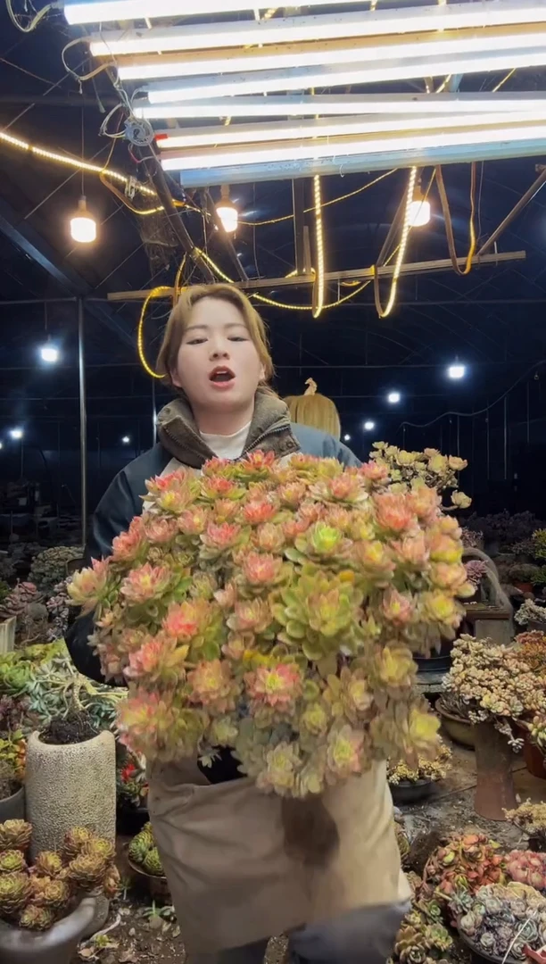 【闪购商品】丝绸面试一物一拍脱土包邮