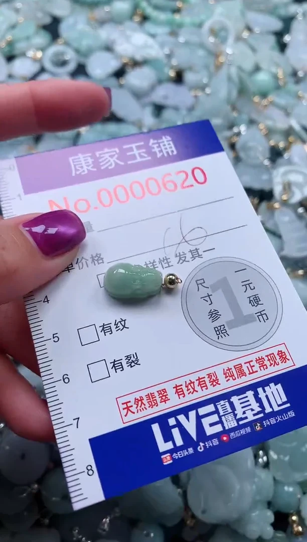 颈饰未镶嵌翡翠620
