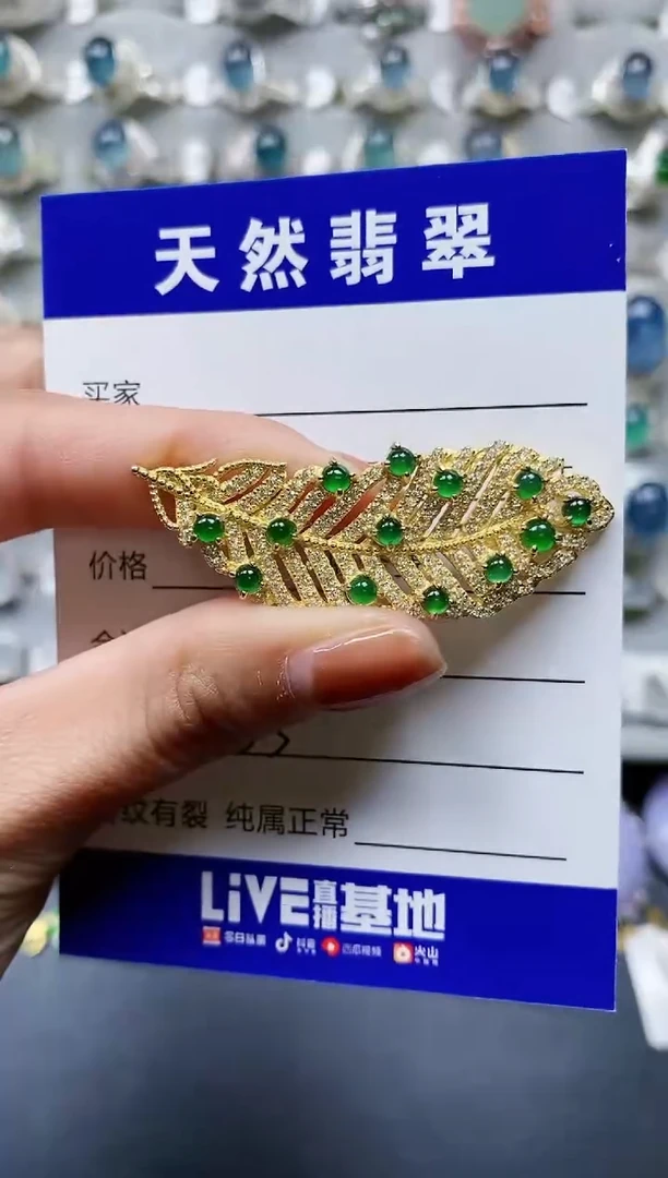 【闪购商品】翡翠颈饰银S925镶嵌0855