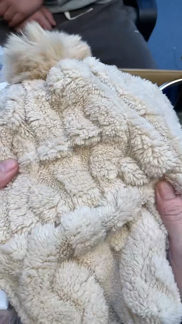 纯棉静*爱如图所示 老崔精选