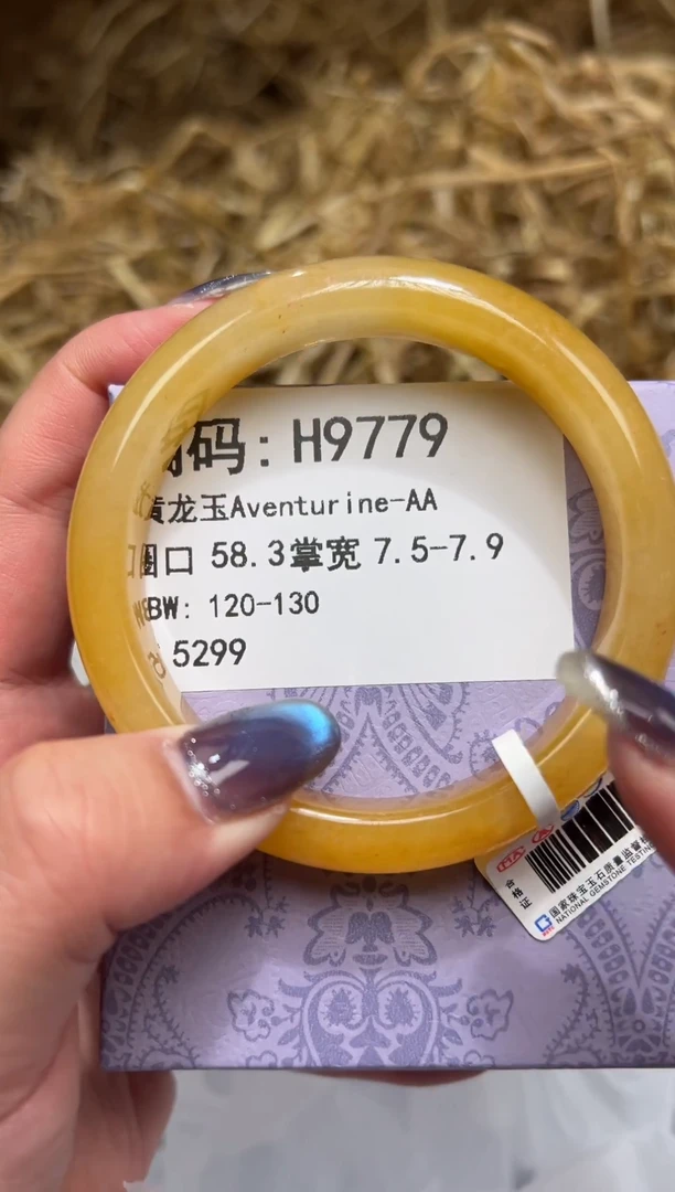 未镶嵌手镯石英质玉H9779
