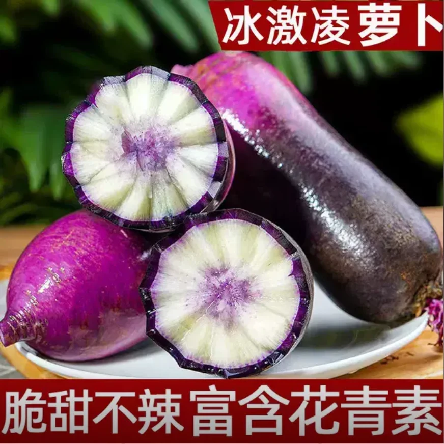 【现挖现发】冰激凌水果萝卜新鲜正宗潍坊甜脆水果型沙潍坊萝卜】