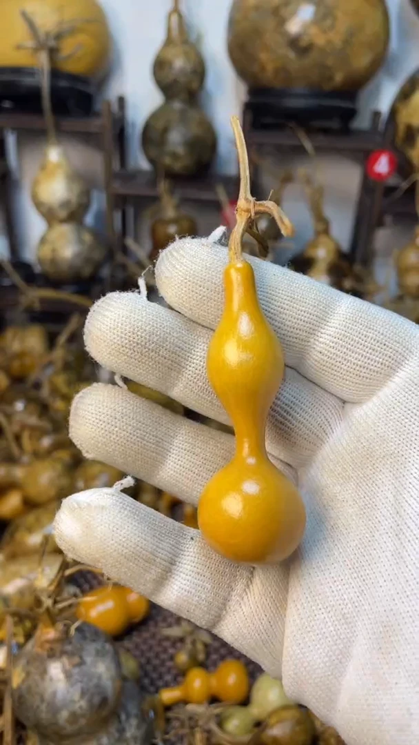 【闪购商品】葫芦葫芦葫芦葫芦