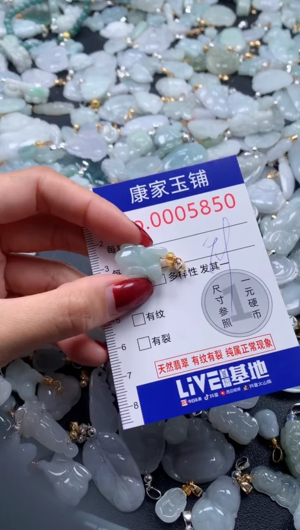 颈饰未镶嵌翡翠5850