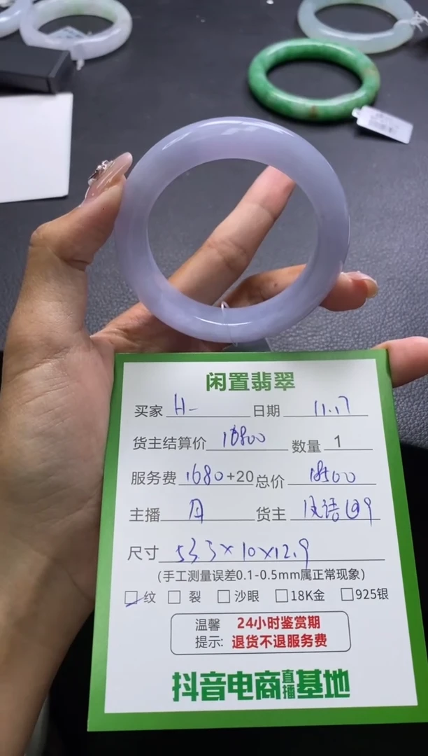 未镶嵌手镯翡翠H*Y手镯