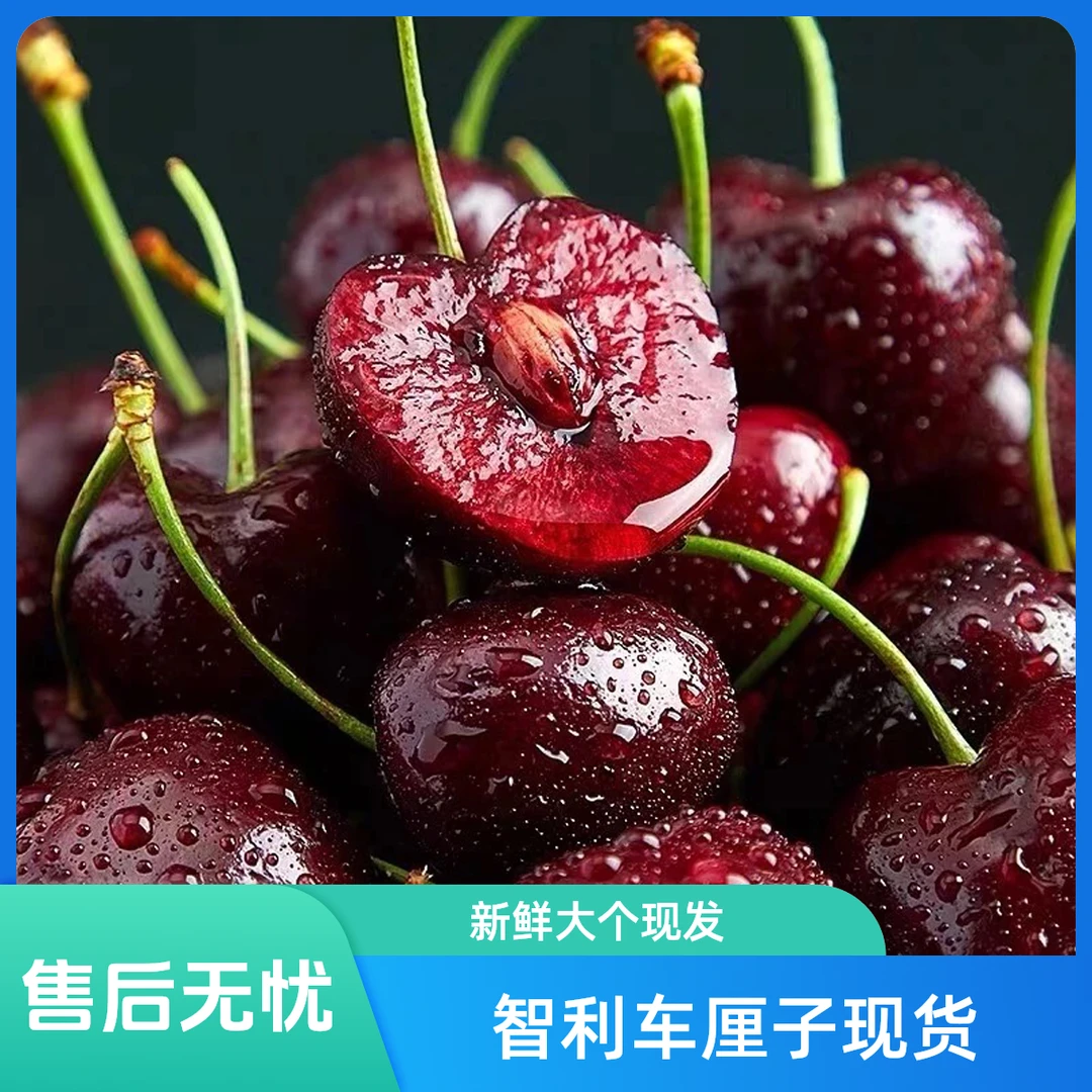 【京东包邮】智利车厘子海运桑提娜2JD净重2斤5斤新鲜现货现发（内附果径卡）