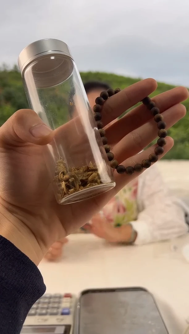 沉香沉香碎屑奇楠沉香沉水07单圈5克多样性发一