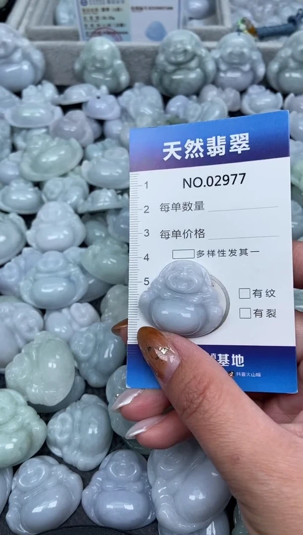 颈饰未镶嵌翡翠纯天然A货翡翠2977