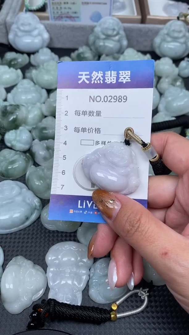 颈饰未镶嵌翡翠纯天然A货翡翠2989