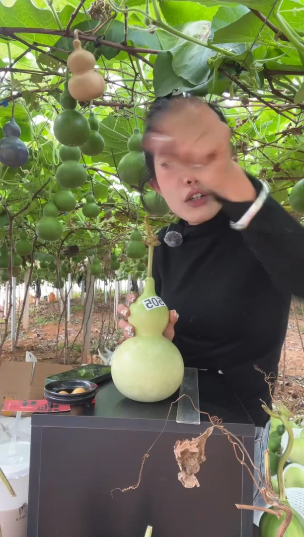 d****o505天然葫芦摆件 一物一拍龙头不保售后