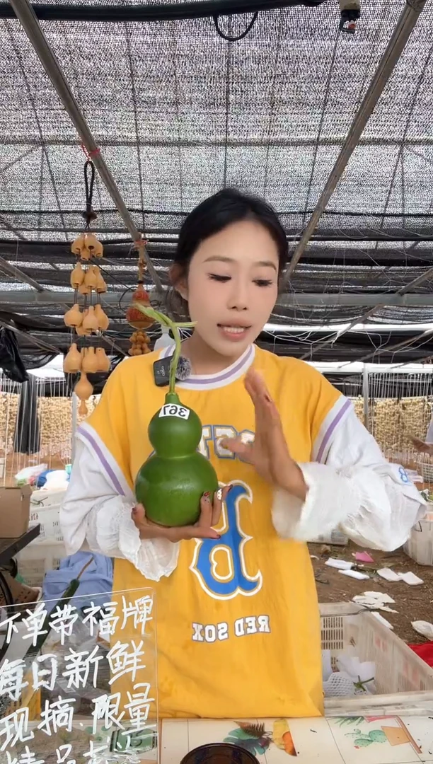 368天然葫芦摆件 一物一拍龙头不保售后