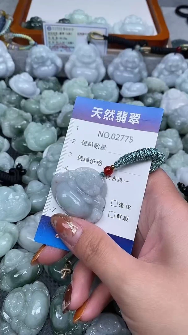 颈饰未镶嵌翡翠纯天然A货翡翠2775