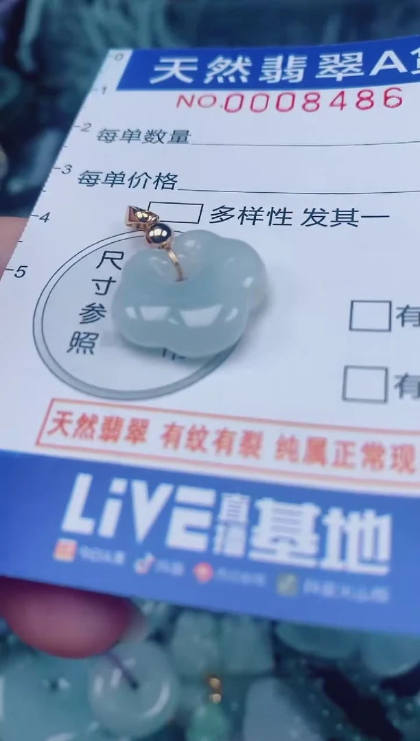 颈饰未镶嵌翡翠00008486