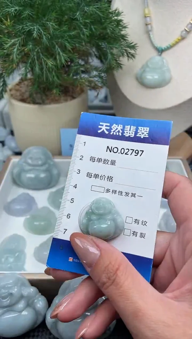 颈饰未镶嵌翡翠纯天然A货翡翠2797