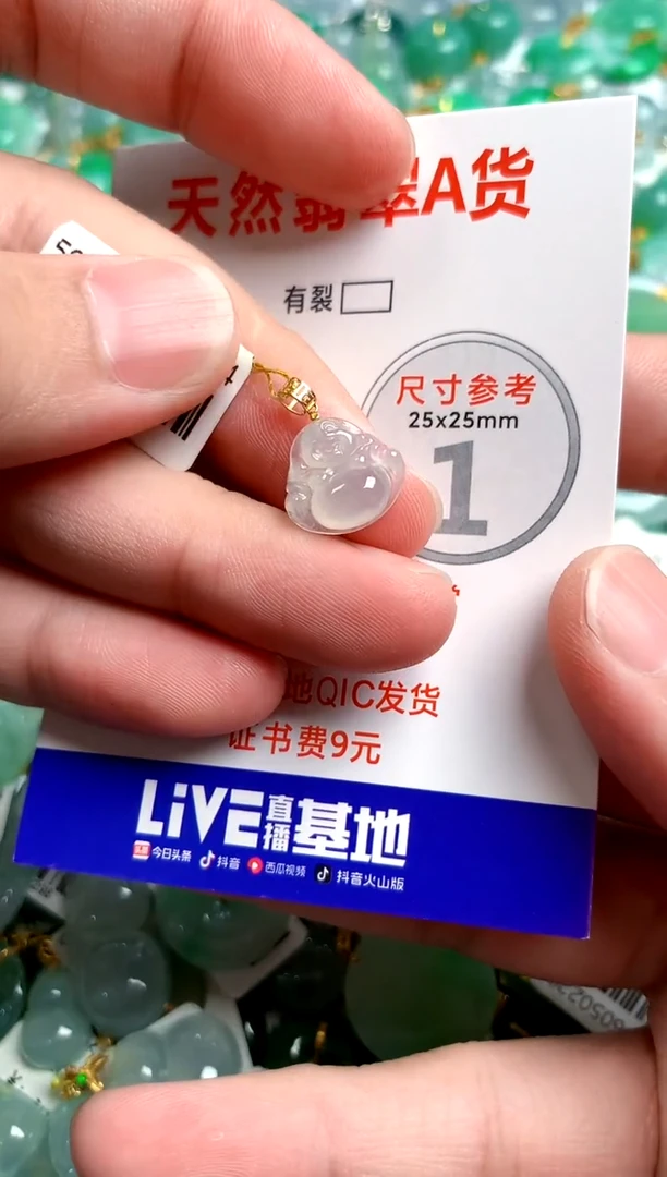 翡翠18K金镶嵌颈饰0180902306