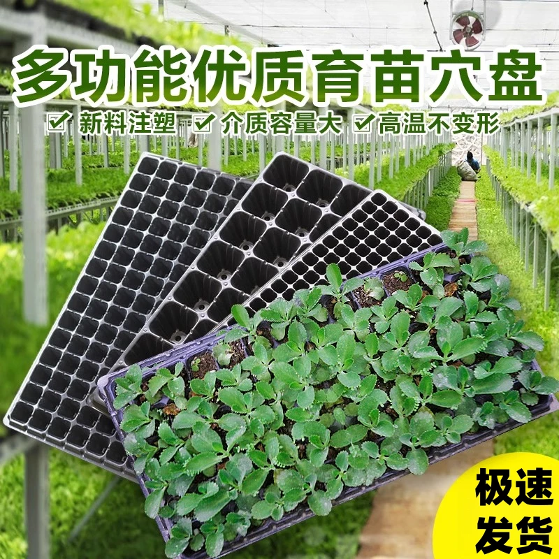 【育苗盘】穴盘架秧盘辣椒苗盘苗盘育苗超厚玉米高粱加厚育苗盘水盆