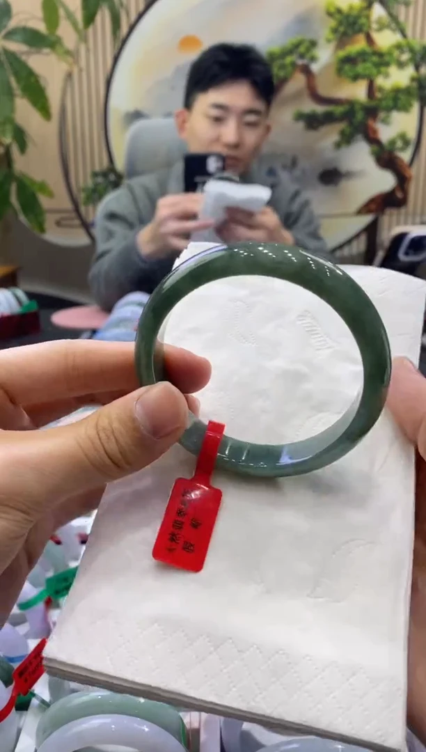 未镶嵌手镯翡翠9495