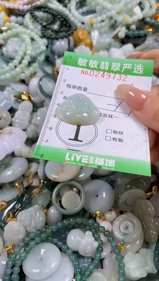 翡翠未镶嵌颈饰闪购0249732