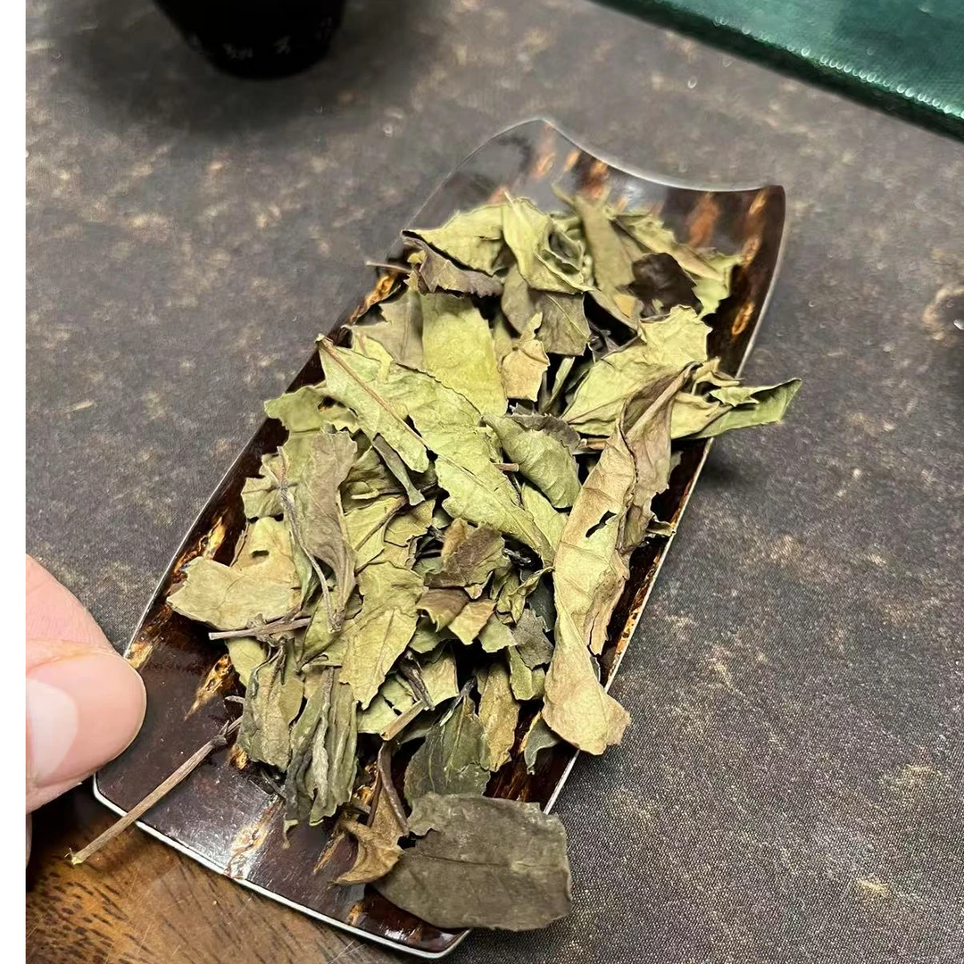 【老树春贡】2015年老树贡眉春片 福鼎白茶