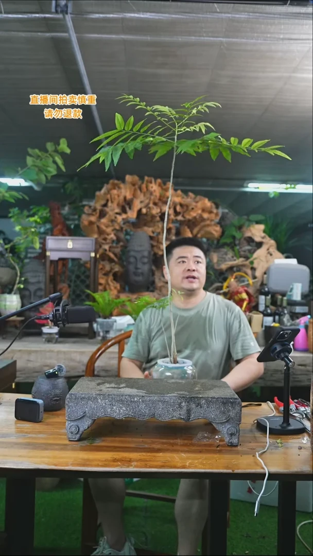 完全开放菩提249+