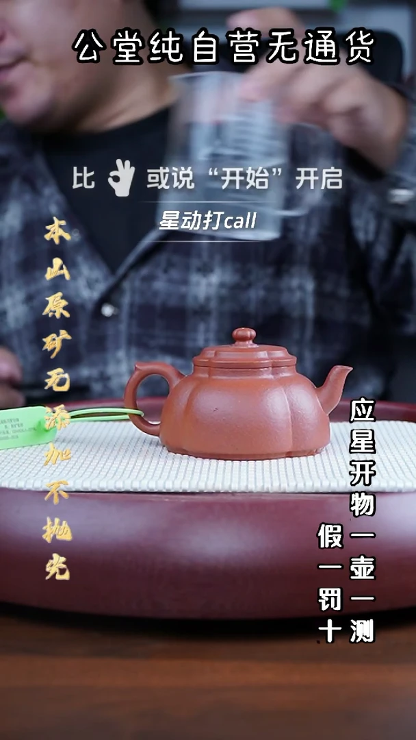 茶壶紫砂黄龙山朱泥 海棠 170cc