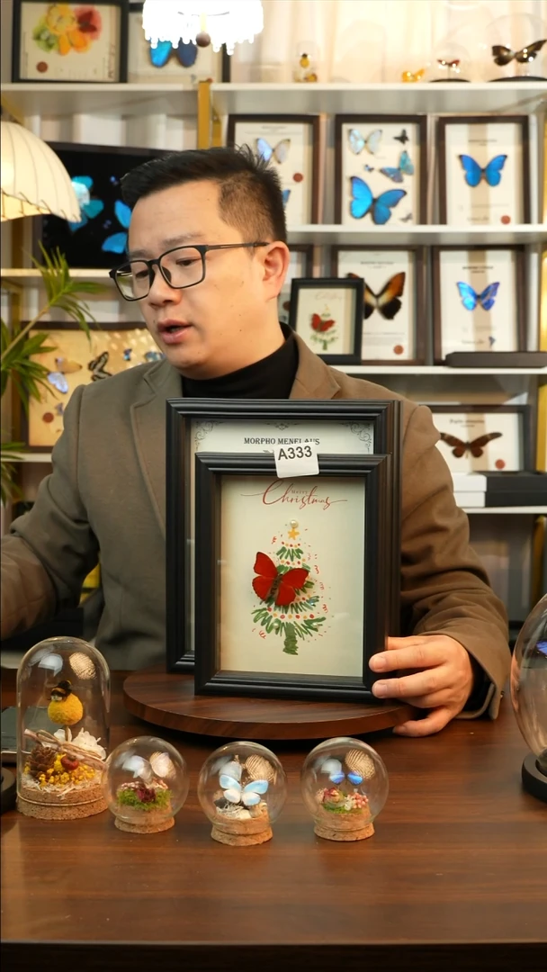 血漪蛱蝶-圣诞款（8寸方黑色欧式框）A333