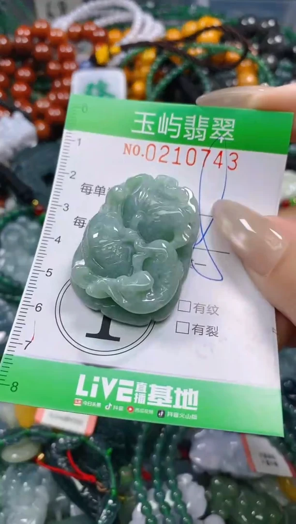 颈饰未镶嵌翡翠闪购0210743