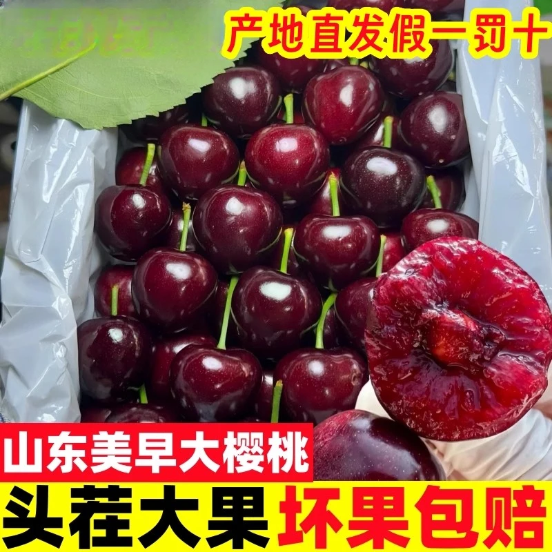 4J每天现摘现发山东美早大樱桃顺丰空运/陆运3斤