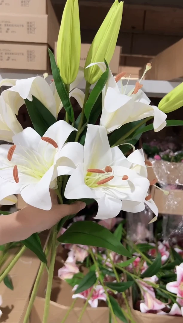 3枝白色大百合