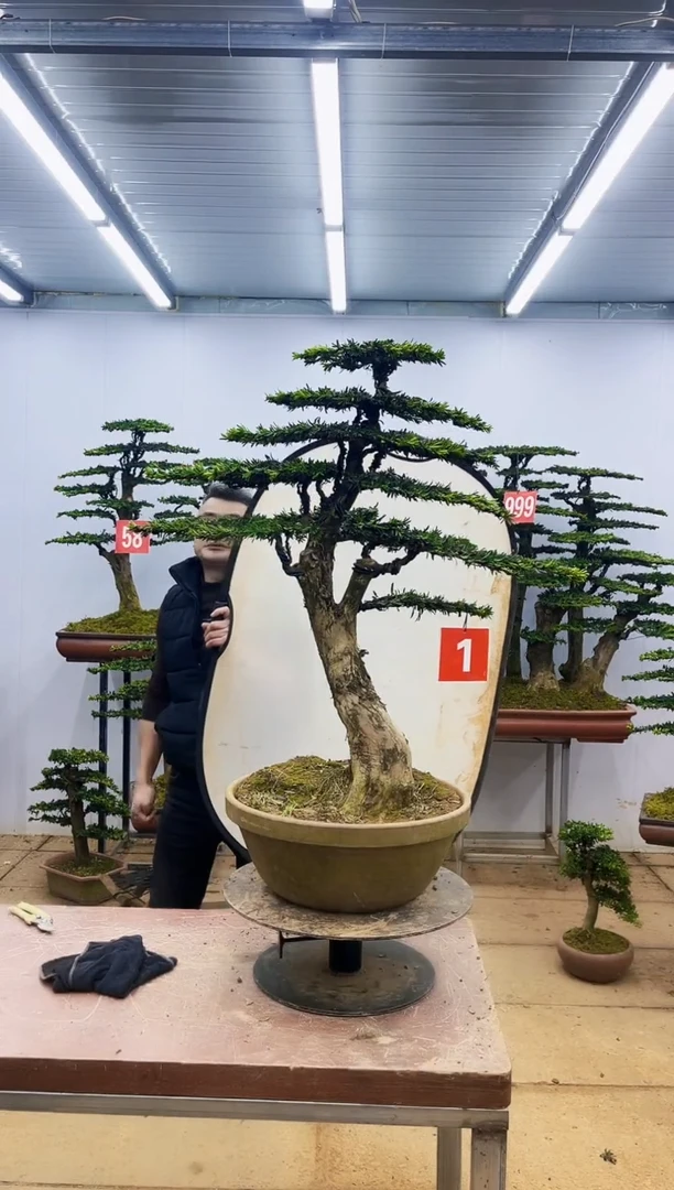 【闪购商品】一物一拍，所见即所得