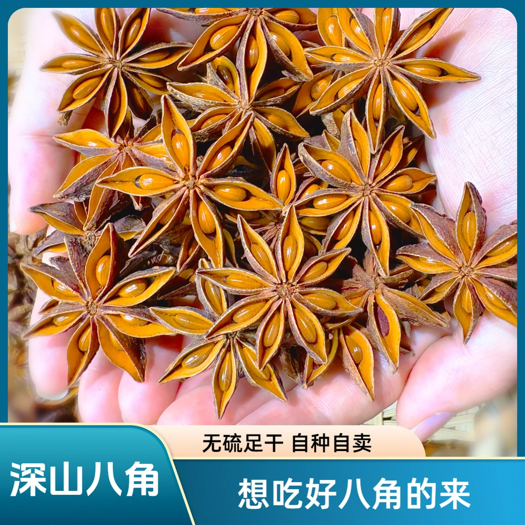 广西深山自家足干无硫大红老树八角卤汁香料调味料50-1000克