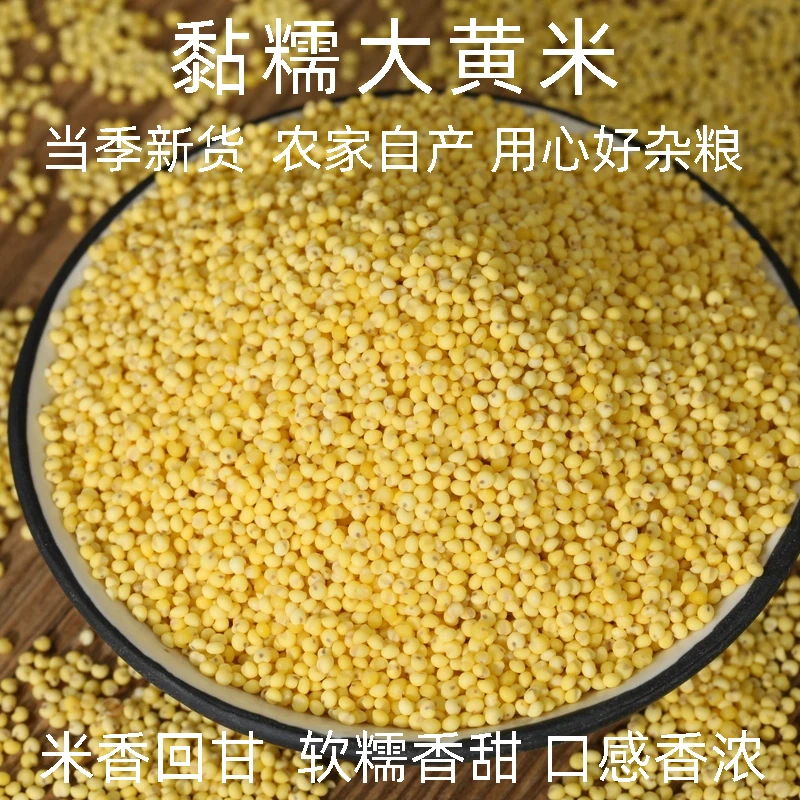 2025年大黄米新米五谷杂粮煮饭小米粥包粽子汤圆粘豆包窝窝头粗粮