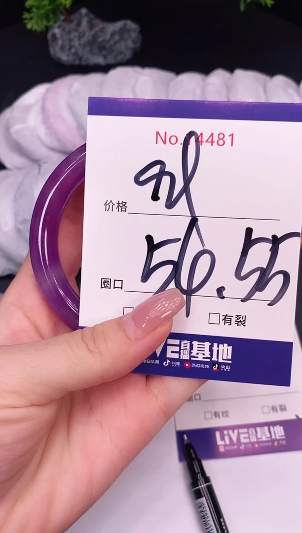 未镶嵌手镯翡翠14481