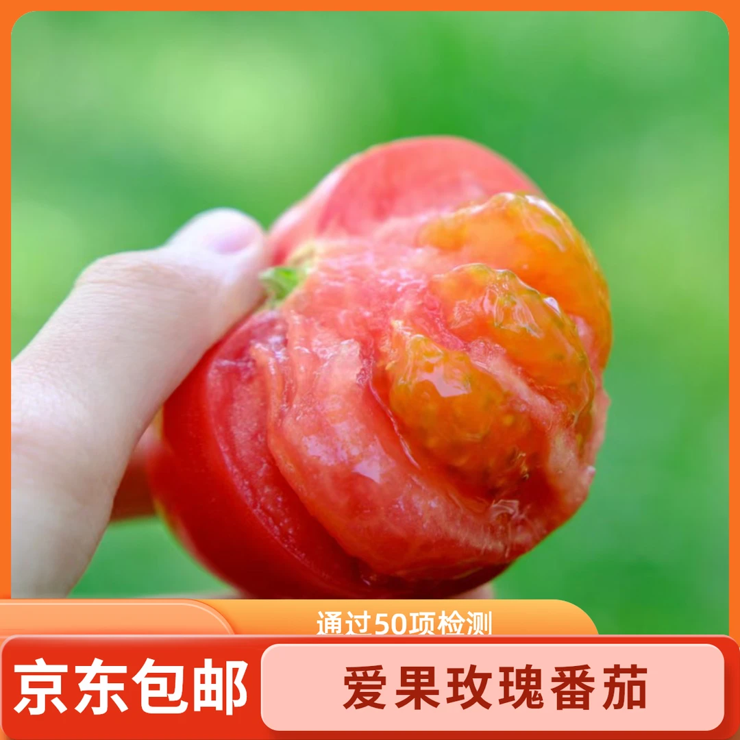 京东包邮玫瑰番茄沙瓤脆皮酸甜多汁生吃自然熟孕妇水果西红柿养生