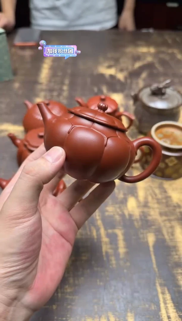 老****嫩孙博 大红袍 秋露壶