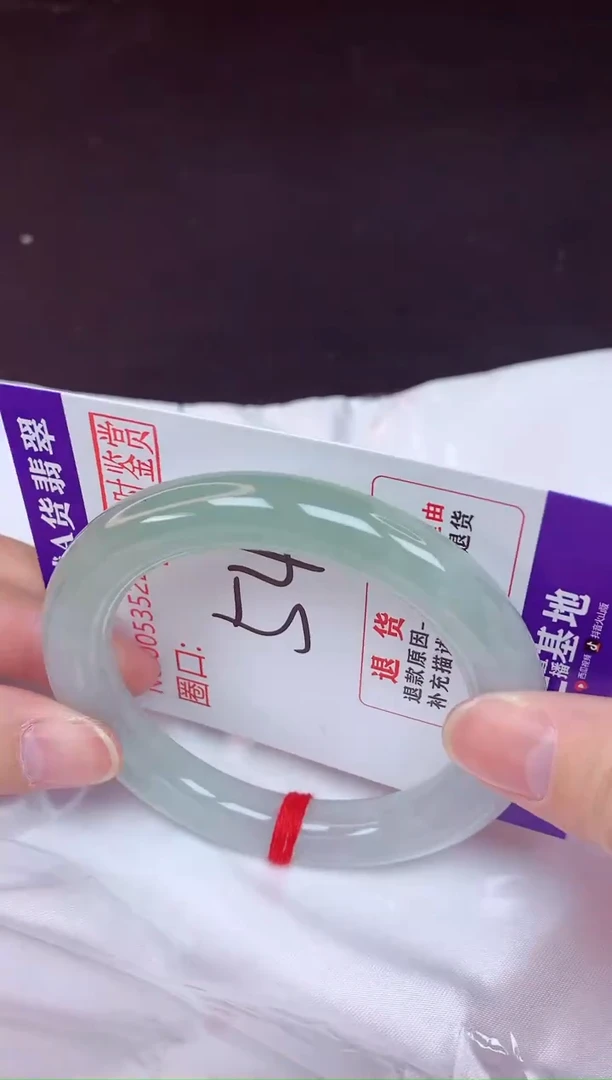 未镶嵌手镯翡翠54（48小时鉴赏期 ）