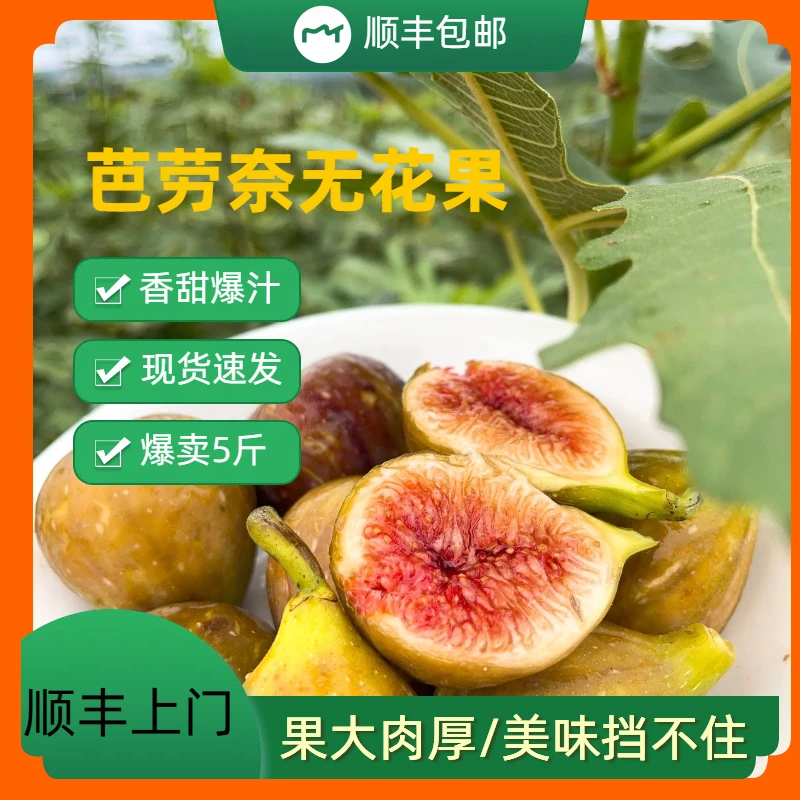 [顺丰包邮]新鲜无花果芭劳奈清甜软糯农家现摘非格莱斯无花果秋果
