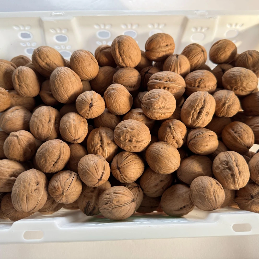 乡味康黄龙香玲黄龙核桃